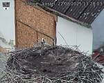 Capi_Dubne_20250822_132003.jpg