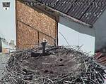 Capi_Dubne_20250822_133503.jpg