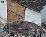 Capi_Dubne_20250822_134003.jpg
