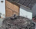 Capi_Dubne_20250822_134503.jpg