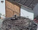 Capi_Dubne_20250822_135003.jpg