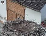 Capi_Dubne_20250822_140003.jpg