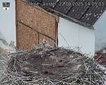 Capi_Dubne_20250822_140503.jpg