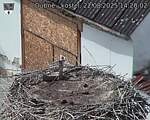 Capi_Dubne_20250822_142002.jpg