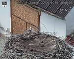 Capi_Dubne_20250822_144503.jpg