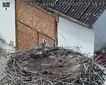 Capi_Dubne_20250822_145003.jpg