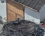 Capi_Dubne_20250822_150502.jpg