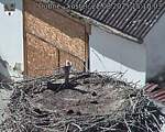 Capi_Dubne_20250822_151003.jpg