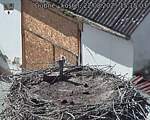 Capi_Dubne_20250822_151503.jpg