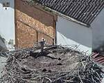 Capi_Dubne_20250822_152003.jpg