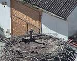 Capi_Dubne_20250822_152503.jpg