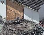 Capi_Dubne_20250822_153003.jpg
