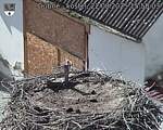 Capi_Dubne_20250822_155003.jpg