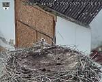 Capi_Dubne_20250822_162003.jpg