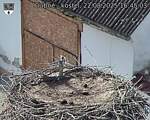 Capi_Dubne_20250822_164503.jpg