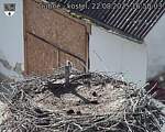 Capi_Dubne_20250822_165003.jpg