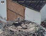 Capi_Dubne_20250822_171004.jpg