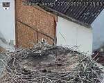 Capi_Dubne_20250822_172503.jpg