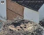 Capi_Dubne_20250822_180002.jpg