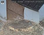 Capi_Dubne_20250822_190503.jpg