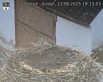 Capi_Dubne_20250822_191503.jpg