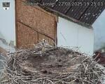 Capi_Dubne_20250822_192503.jpg
