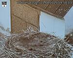 Capi_Dubne_20250822_195003.jpg