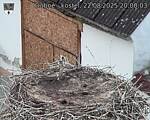 Capi_Dubne_20250822_200003.jpg