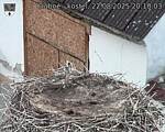 Capi_Dubne_20250822_201003.jpg