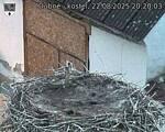 Capi_Dubne_20250822_202003.jpg