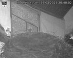 Capi_Dubne_20250822_204002.jpg