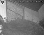 Capi_Dubne_20250822_204503.jpg