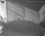 Capi_Dubne_20250822_214002.jpg