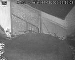 Capi_Dubne_20250822_221503.jpg