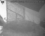 Capi_Dubne_20250823_011502.jpg
