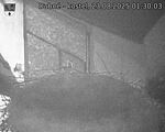 Capi_Dubne_20250823_013003.jpg