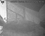 Capi_Dubne_20250823_024502.jpg