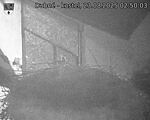 Capi_Dubne_20250823_025003.jpg