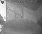 Capi_Dubne_20250823_031502.jpg