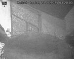 Capi_Dubne_20250823_032003.jpg
