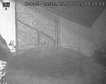 Capi_Dubne_20250823_042003.jpg