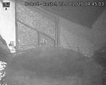 Capi_Dubne_20250823_044503.jpg