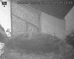 Capi_Dubne_20250823_052503.jpg