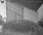 Capi_Dubne_20250823_053002.jpg