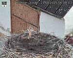 Capi_Dubne_20250823_060003.jpg