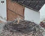 Capi_Dubne_20250823_060502.jpg