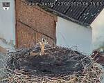 Capi_Dubne_20250823_063503.jpg