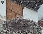 Capi_Dubne_20250823_071503.jpg