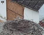 Capi_Dubne_20250823_072003.jpg