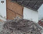 Capi_Dubne_20250823_072503.jpg